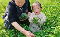 男生女生一起生猴子怎么办